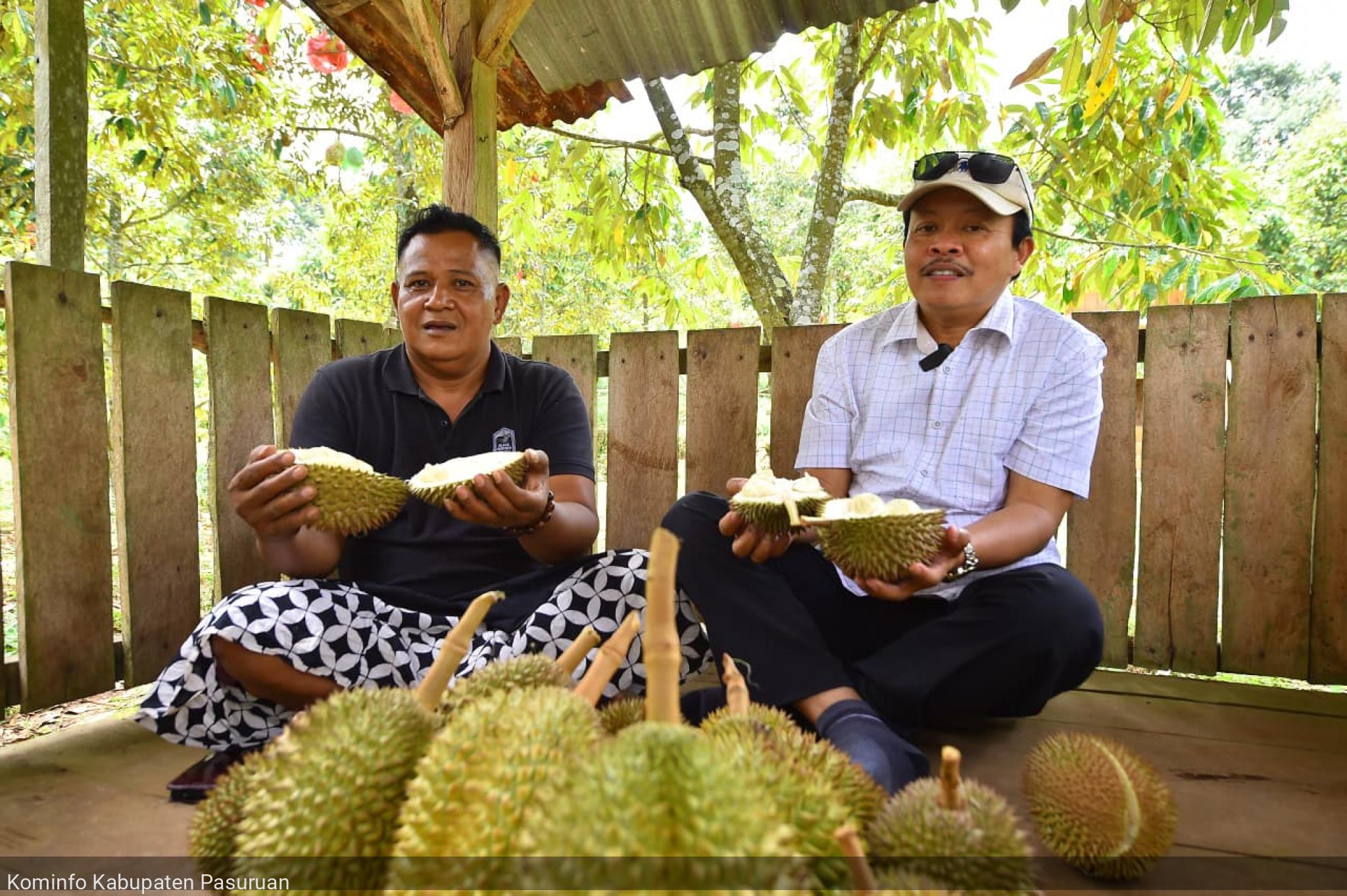 Kecamatan Lumbang, Sentra Durian Unggulan Kabupaten Pasuruan