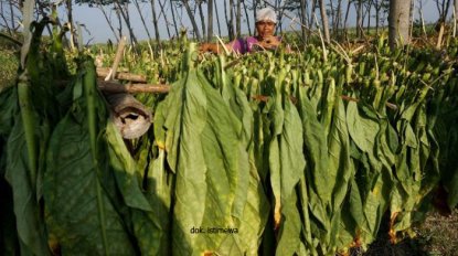 BERBADAN HUKUM, SYARAT UTAMA PENGAJUAN DANA BAGI HASIL CUKAI 