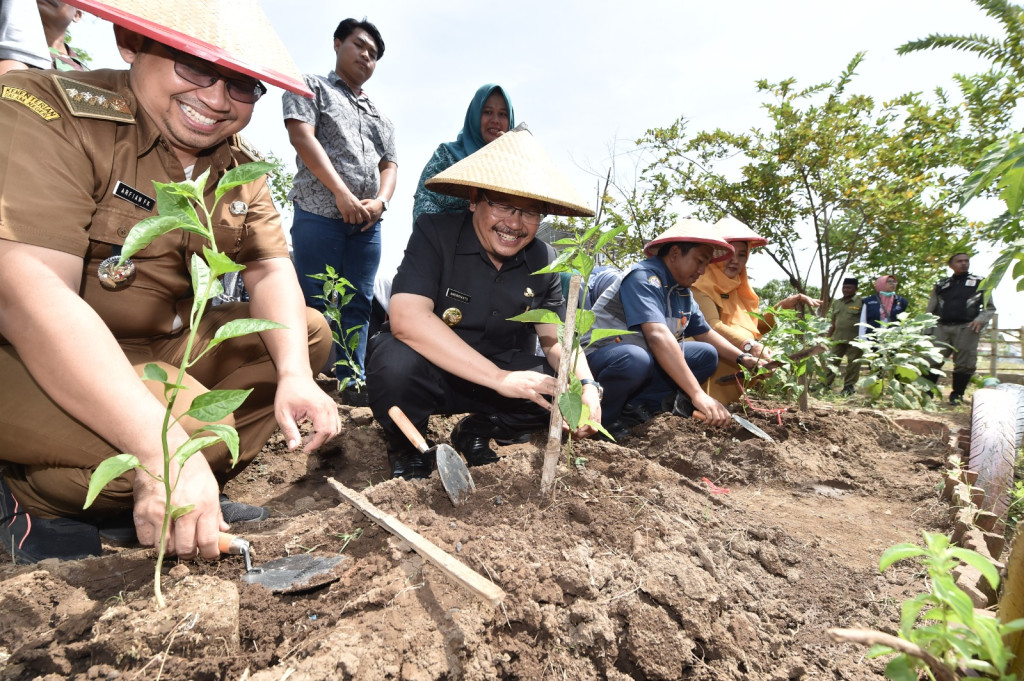 Launching Gertam Babe Desa Kawisrejo, Rejoso