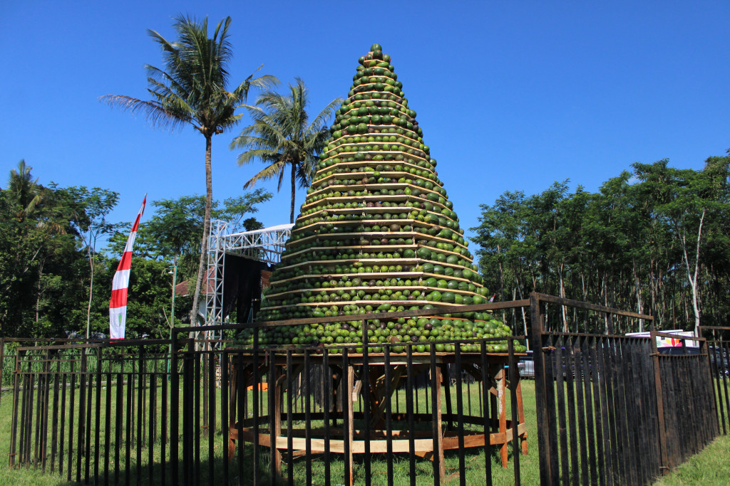 Festival GEMA KATING (Gerakan Makan Alpukat untuk Penanggulangan Stunting) 2024