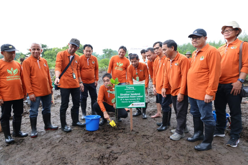 Penanaman Pohon Mangrove Serentak Seluruh Indonesia
